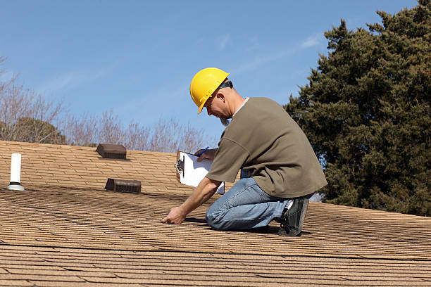 Best Roof Moss and Algae Removal  in Gantt, SC